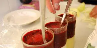 Panna Cotta de Camomila, Mel e Doce de Framboesa panna cotta de camomila, mel e doce de framboesa