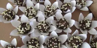 Brigadeiro de Gengibre Brigadeiro de Gengibre