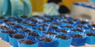 Brigadeiro recheado com bolo de cenoura Brigadeiro recheado com bolo de cenoura