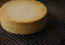 Bolo Castella Japonês: O bolo que tem conquistado paladares Freshly baked sponge cake resting on a wire cooling rack, perfect for desserts.