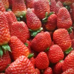 geleia-de-morango_1774291819