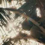 fws-slide-4-1775034310