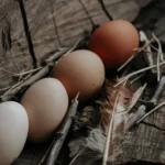 fws-slide-4-1775126225