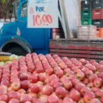 fws-slide-5-1775126875