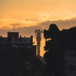 fws-slide-6-1775034530