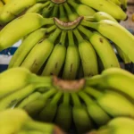 fws-slide-7-1775033478