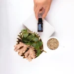 fws-slide-7-1775391265